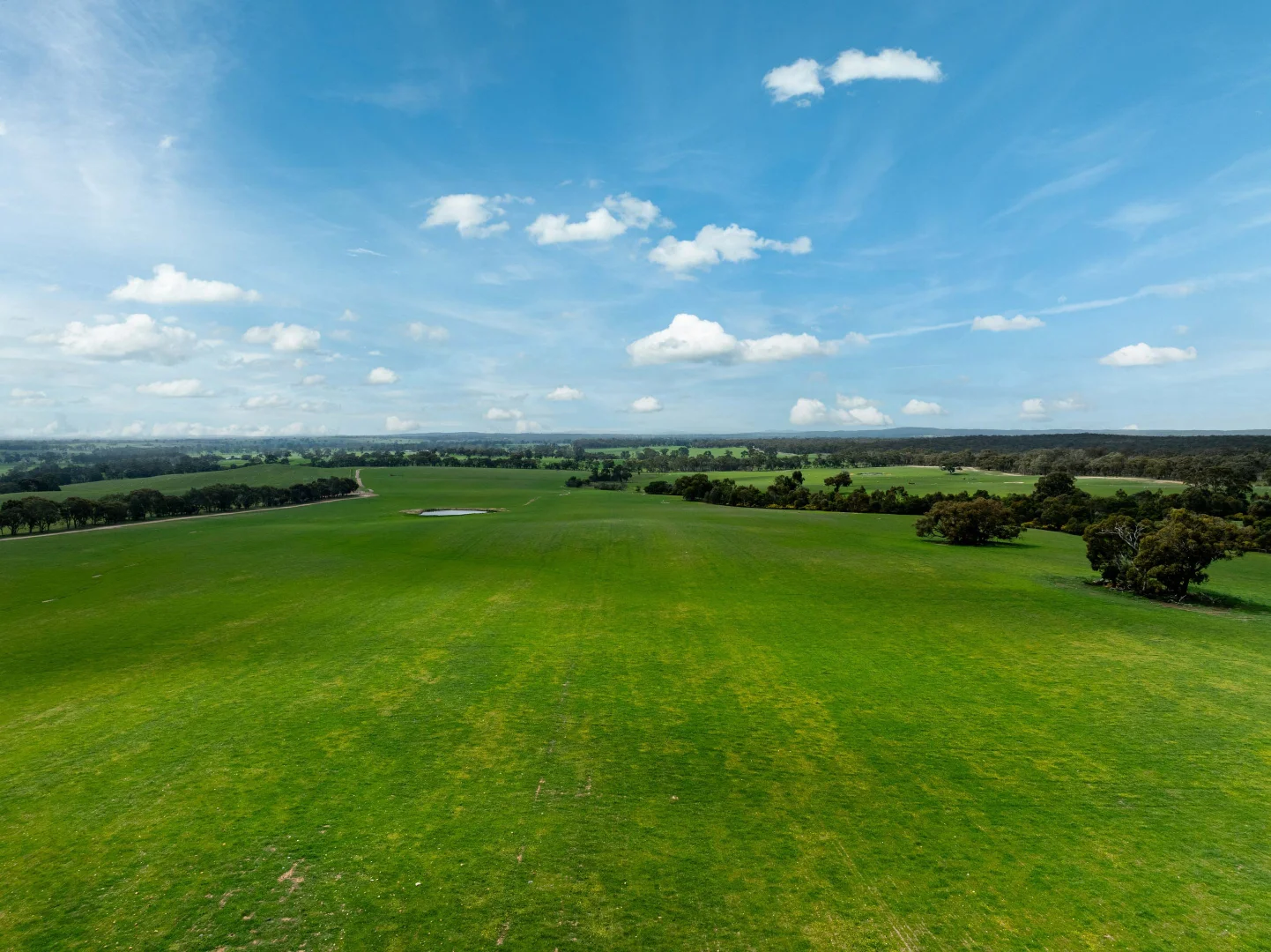 Additional image 5 of 4040 Sunraysia Highway, Lexton VIC 3352