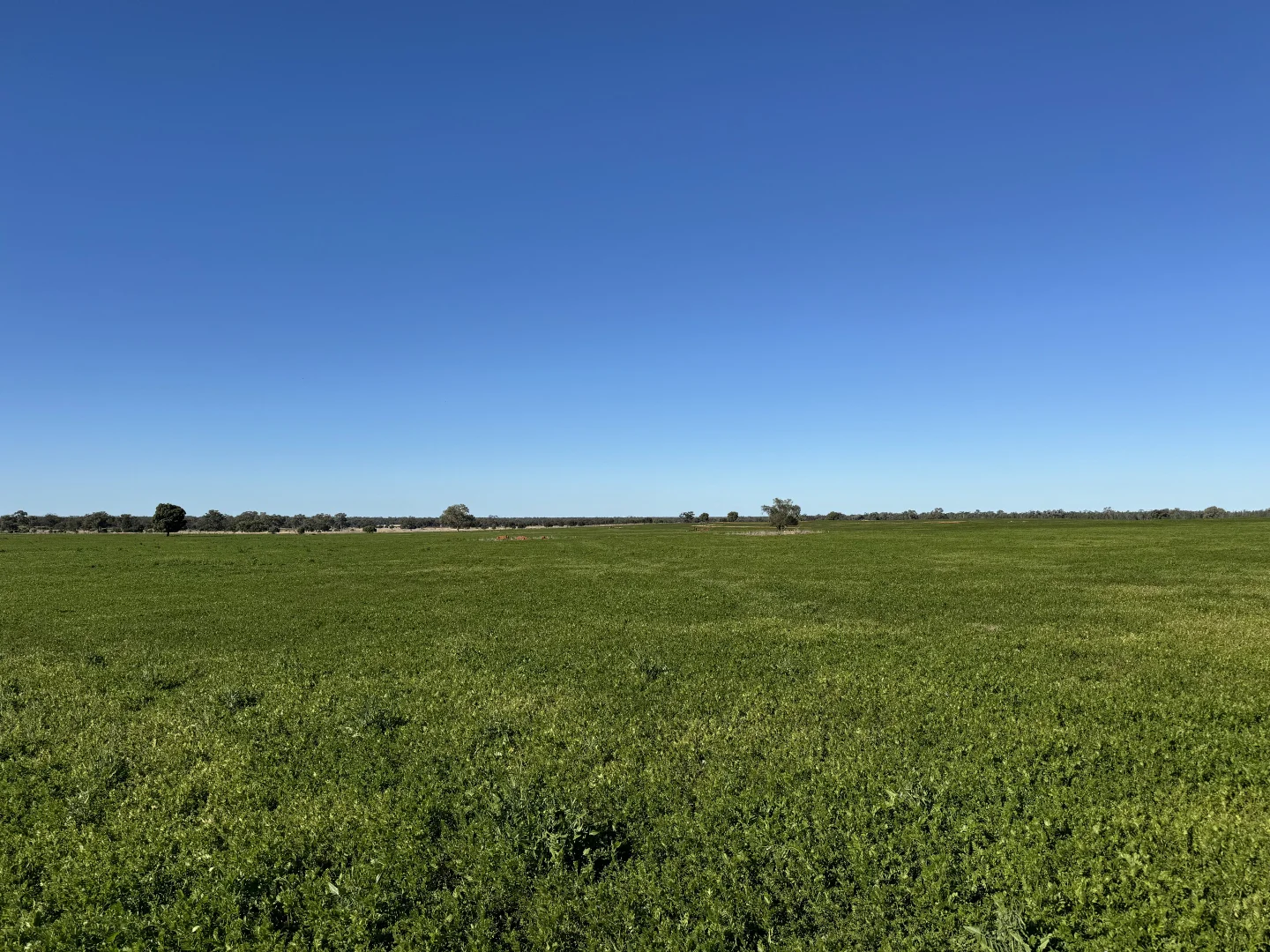 Additional image 4 of 2823 Hermidale Nymagee Road, Hermidale NSW 2831