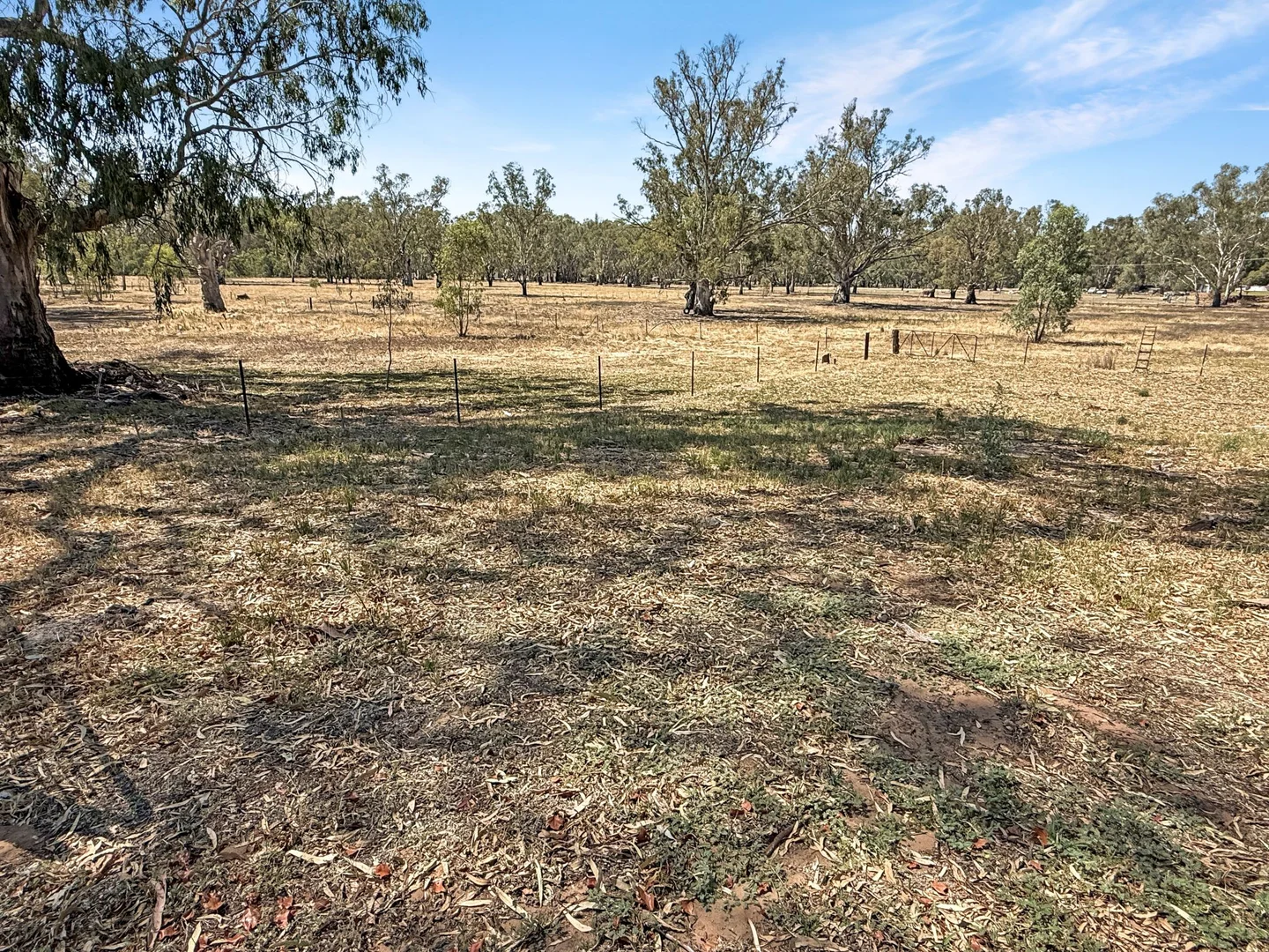 Additional image 15 of 21 Townsend Street, Narrandera NSW 2700