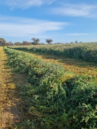 Additional image 9 of 1077 Horsham-Noradjuha Road, Lower Norton VIC 3401