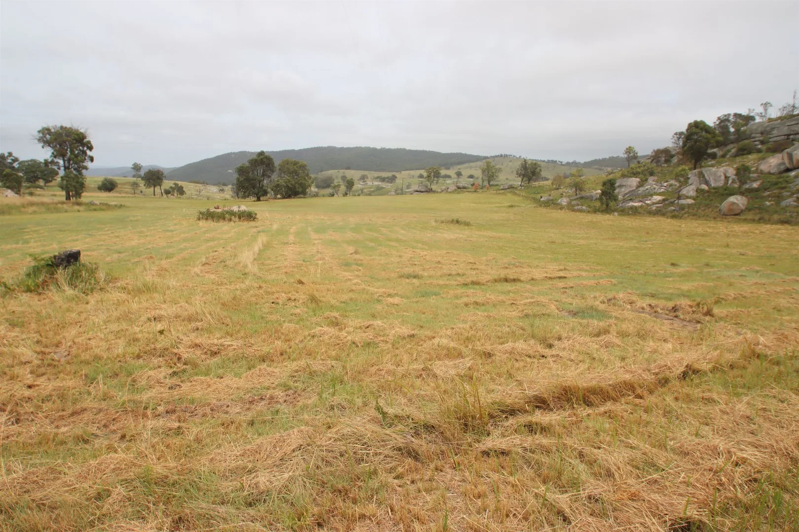 Additional image 8 of Lot 21 Kildare Road, Tenterfield NSW 2372