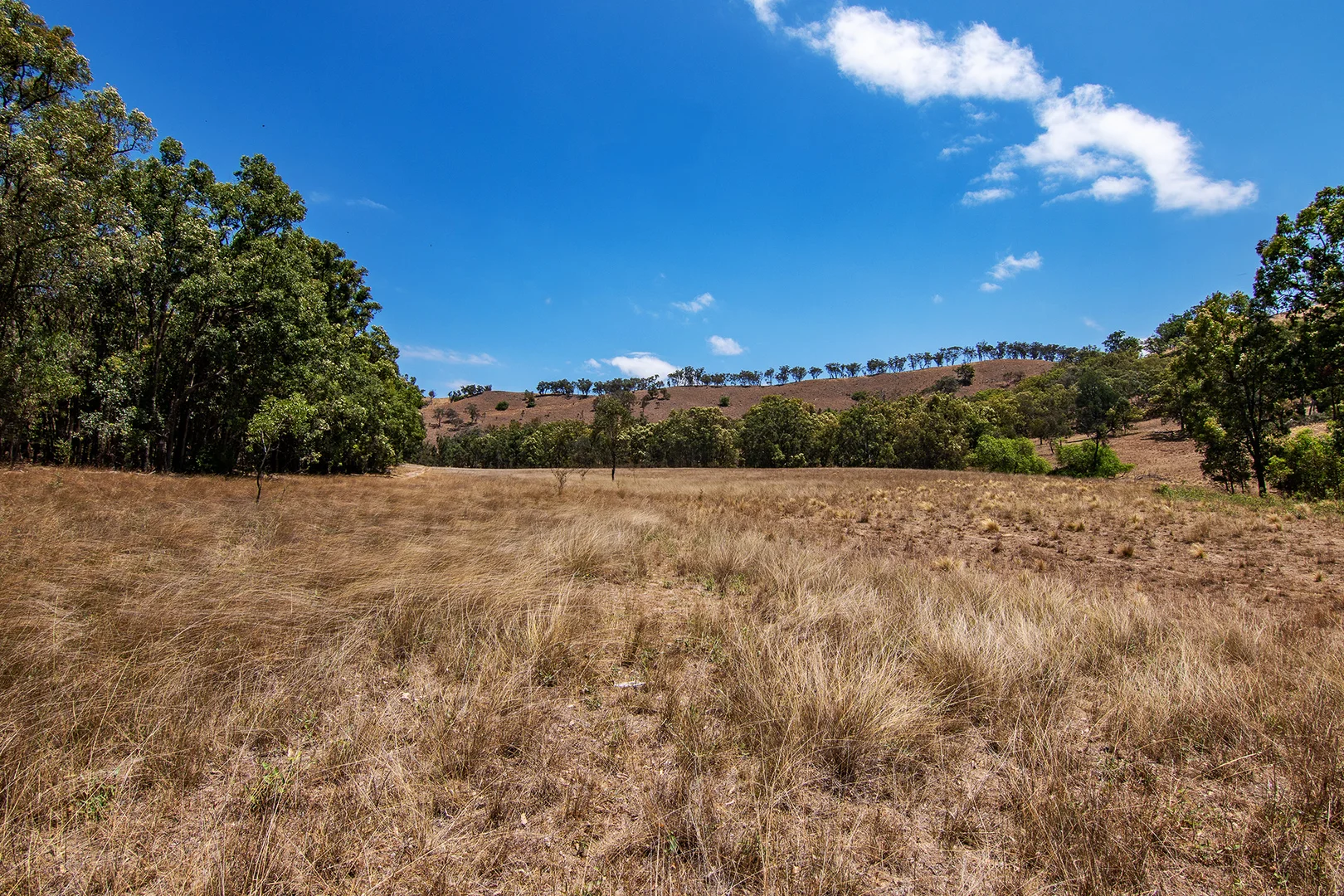 Additional image 12 of 856 Spring Flat Road, Spring Flat NSW 2850