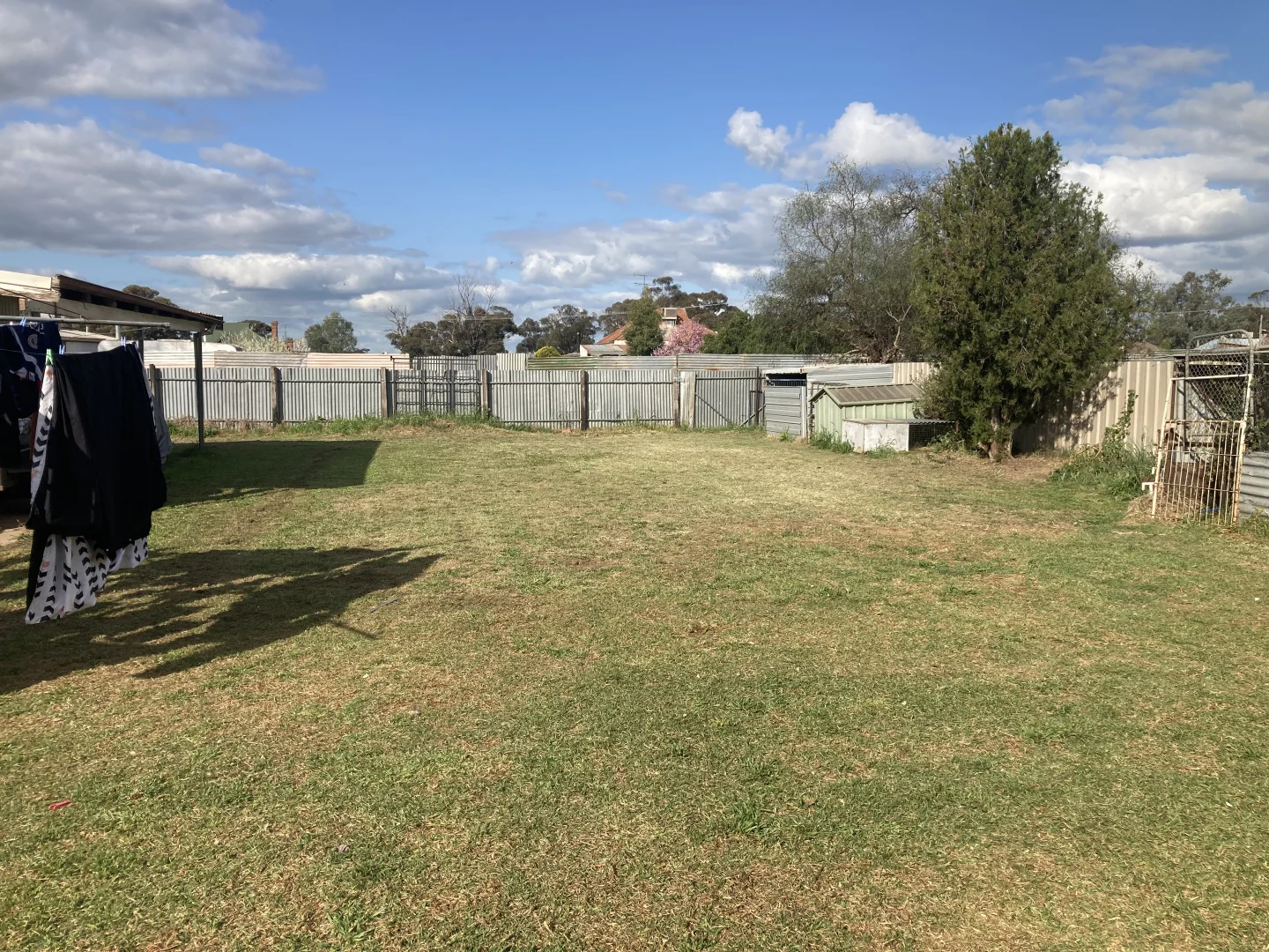 Additional image 7 of 43 Queen Street, Barmedman NSW 2668