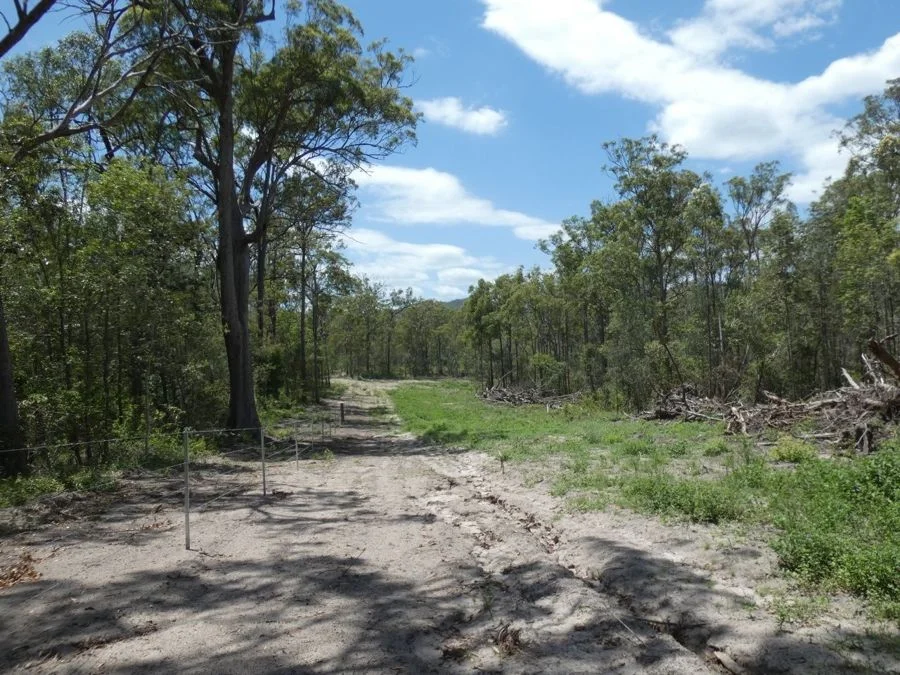 Additional image 9 of Lot 41 Moolyung Road, Waterloo QLD 4673