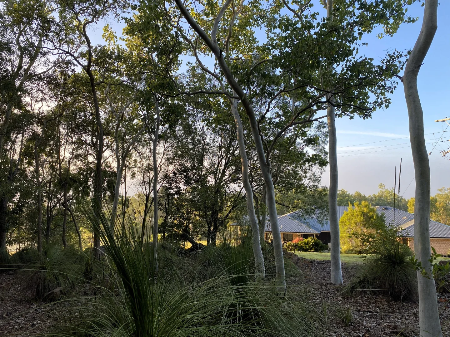 Additional image 46 of 326 Devereux Creek Road, Devereux Creek QLD 4753