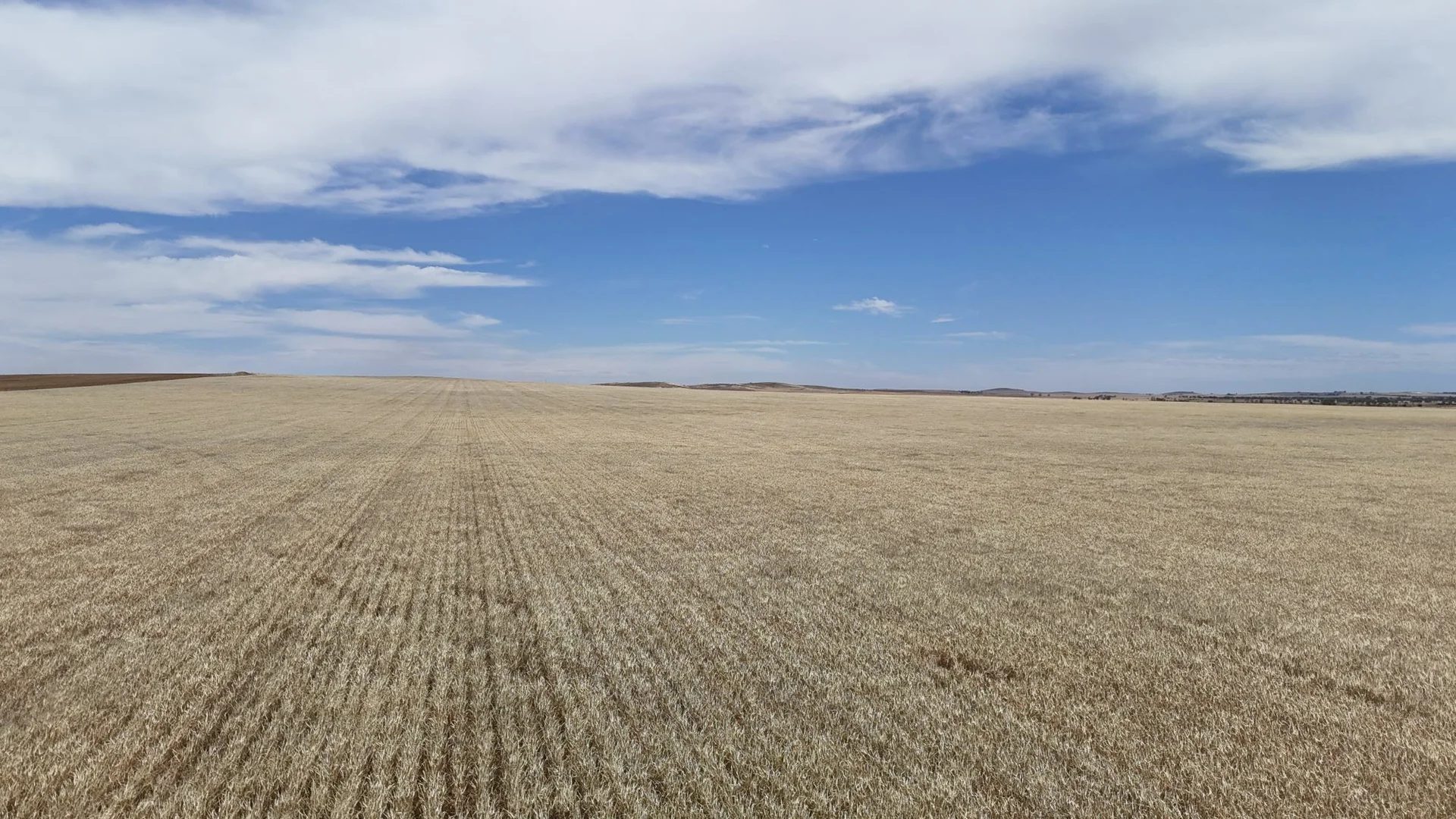 Additional image 5 of 1005 Appila-Laura Rd, Appila SA 5480