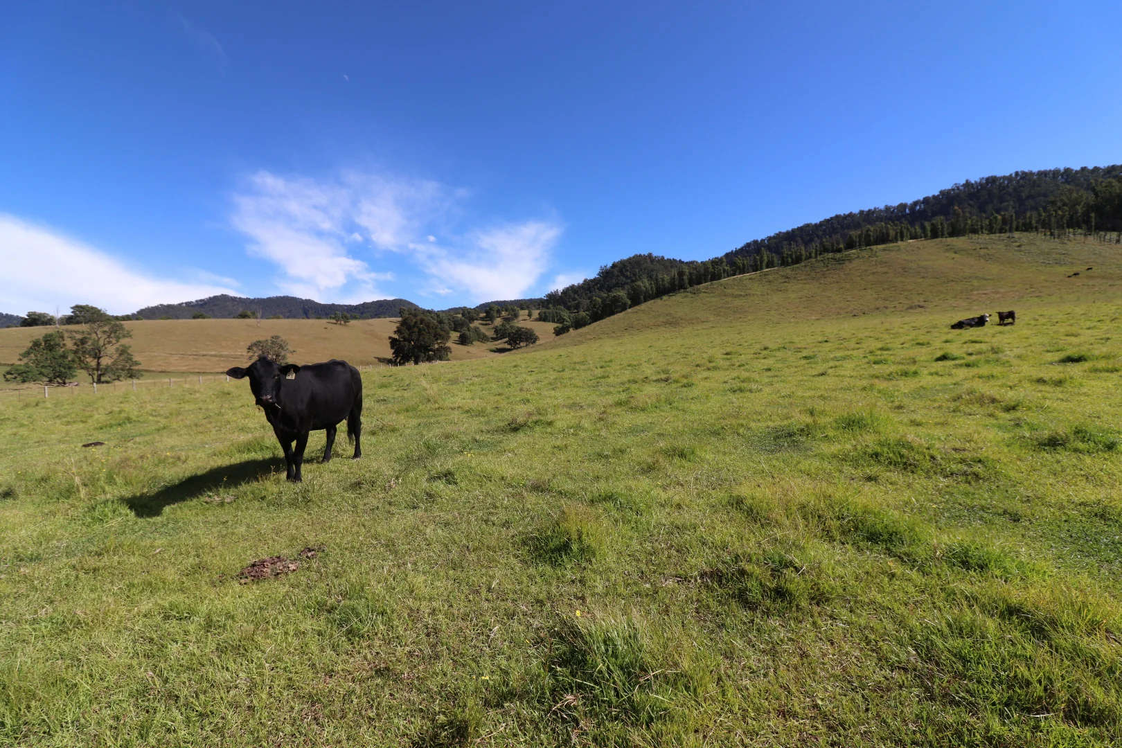 Additional image 11 of 2 Lower Creek Rd, Lower Creek NSW 2440