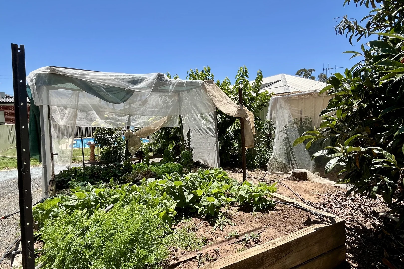 Additional image 31 of 38-40 Pine Street, Numurkah VIC 3636