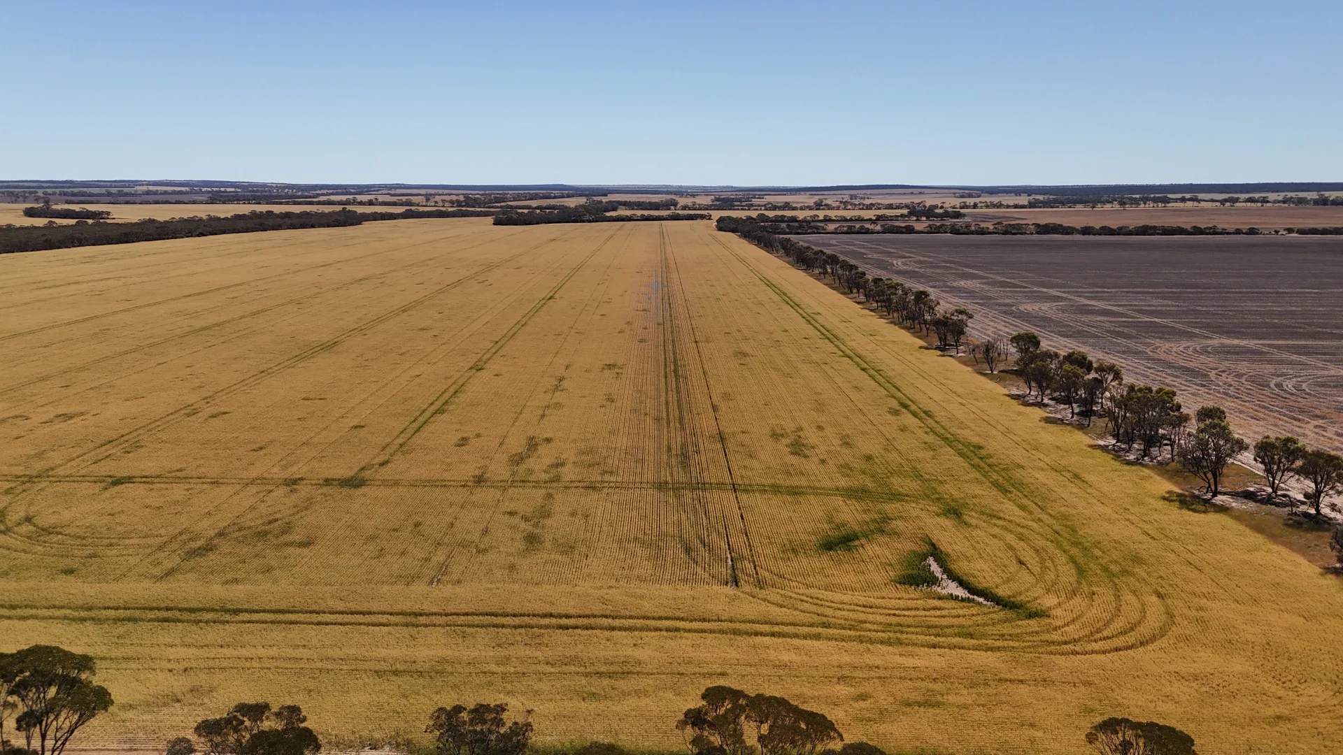 Additional image 24 of 3279 Calzoni Road, Hyden WA 6359