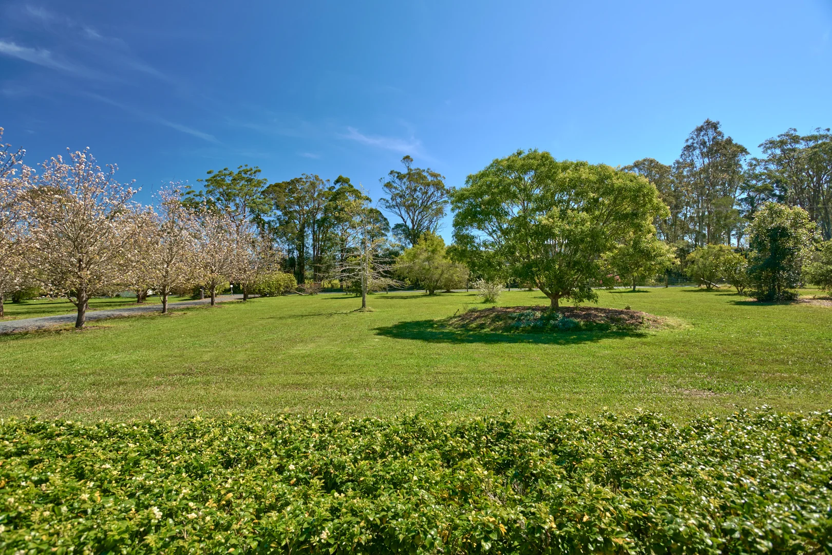 Additional image 29 of 48 Markwell Back Road, Bulahdelah NSW 2423