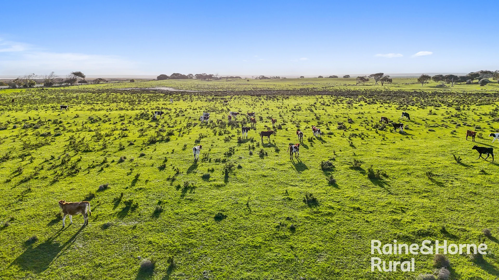 Additional image 21 of Lot 3 Flagstaff Road, Wellington SA 5259