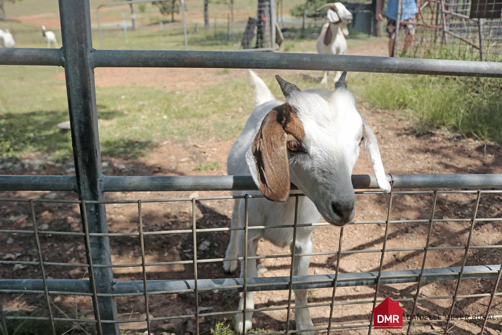 Additional image 15 of 110 Benhams Road, Mundubbera QLD 4626