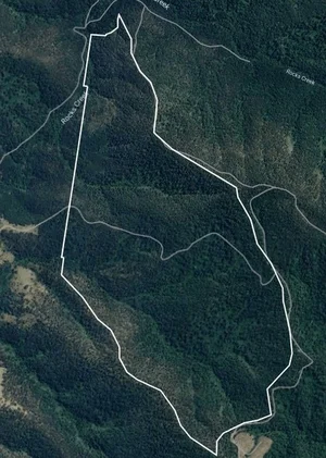 Additional image 13 of 3542 Nowendoc Road, Caffreys Flat NSW 2424