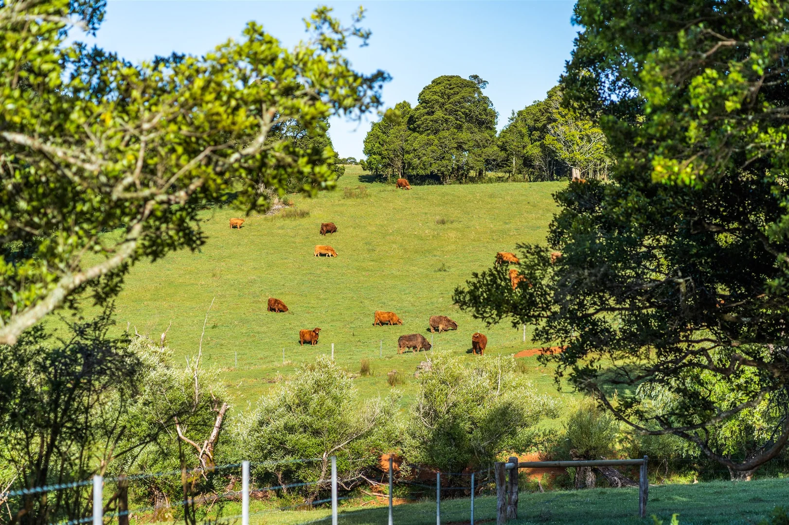 Additional image 14 of 4980 Illawarra Highway, Robertson NSW 2577