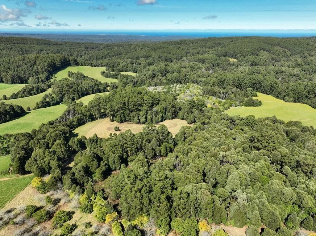 Additional image 6 of 4195 Colac Lavers Hill Road, Weeaproinah VIC 3237