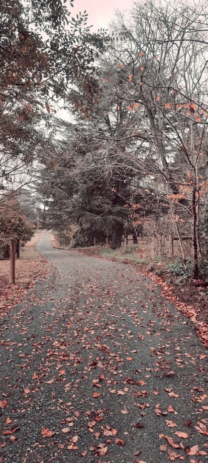 Additional image 9 of 9A Delaneys Road, Warranwood VIC 3134