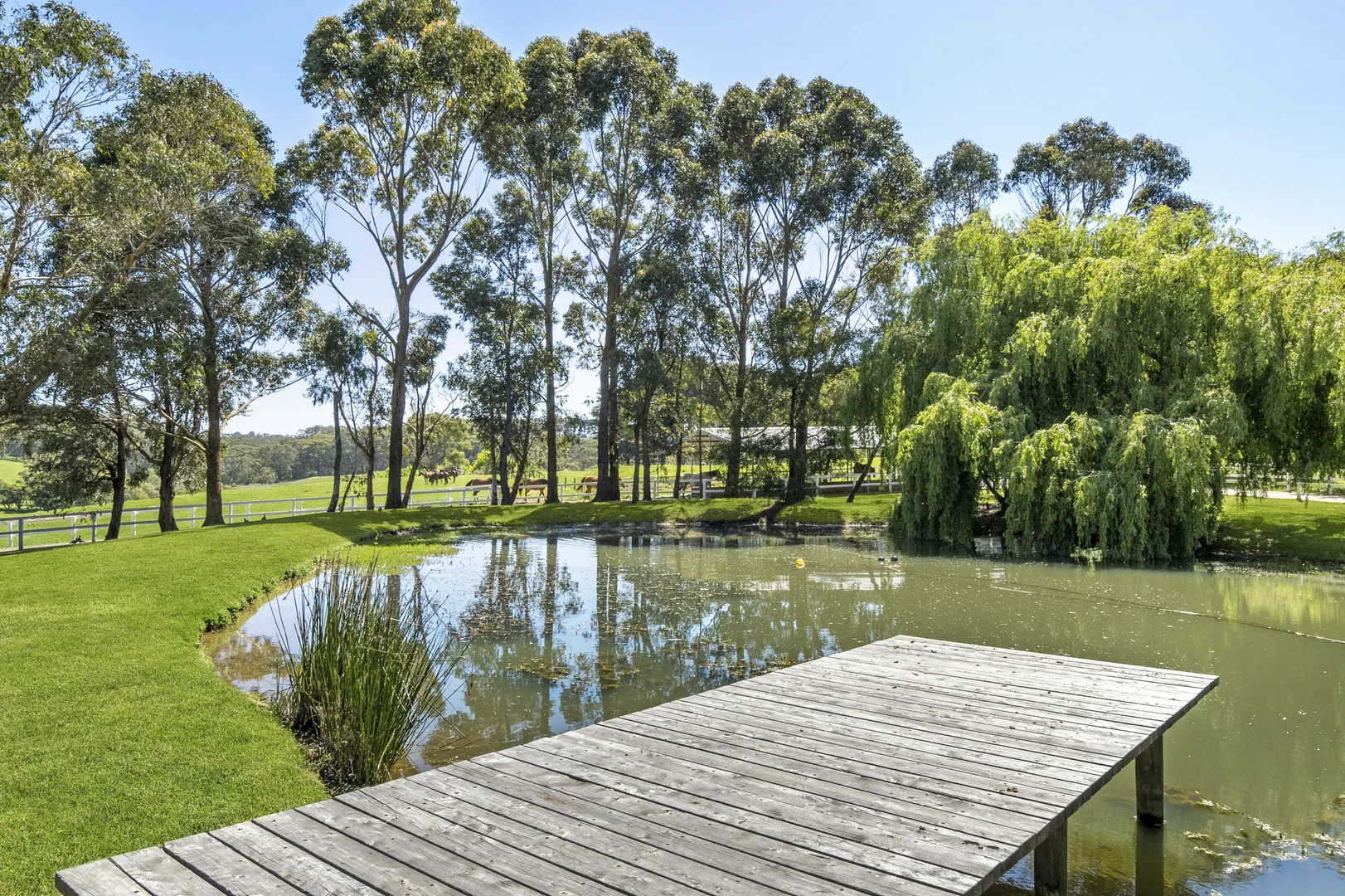 Additional image 17 of 356 Shands Road, Main Ridge VIC 3928
