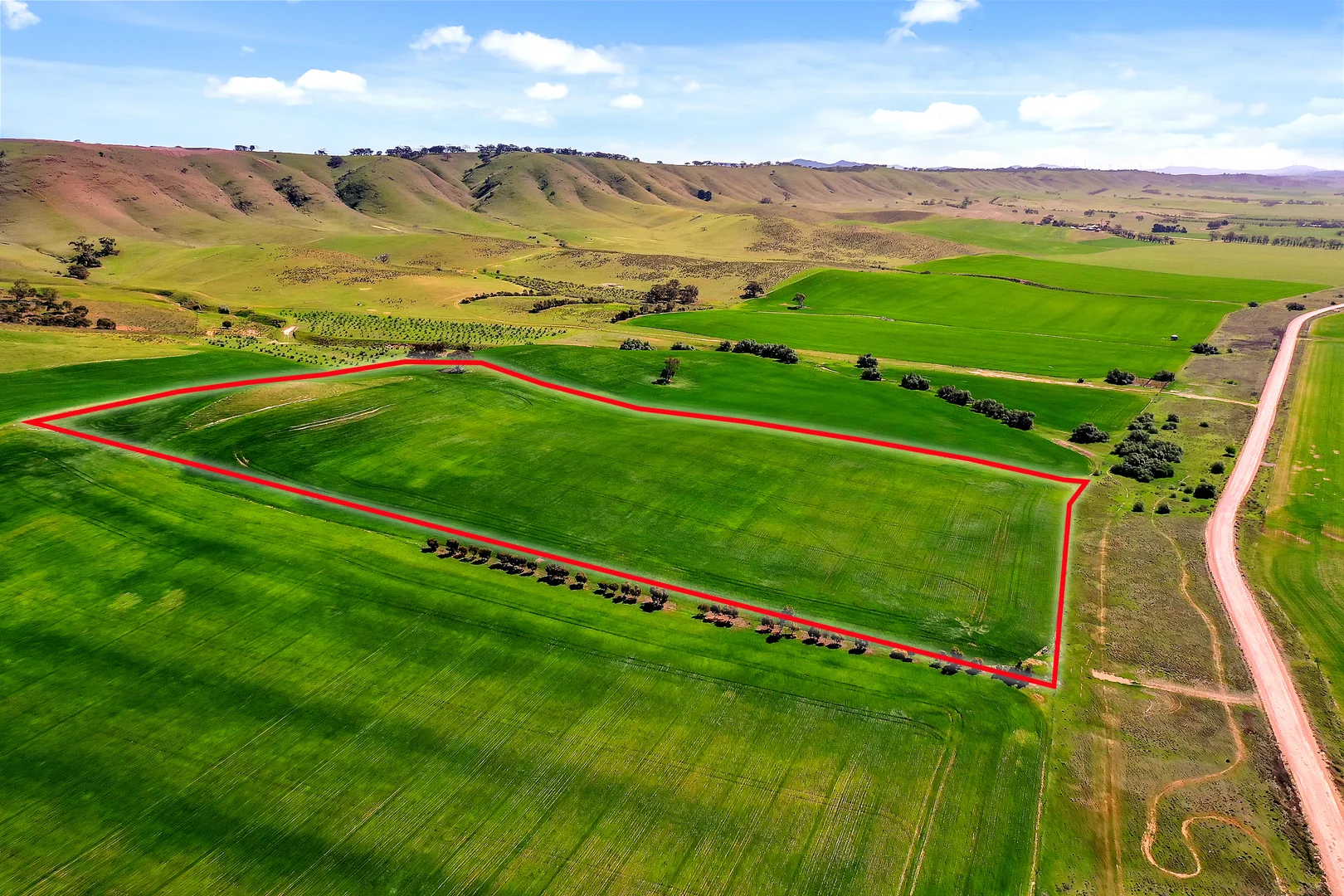 Additional image 2 of 389 Stock Route Road, Robertstown SA 5381