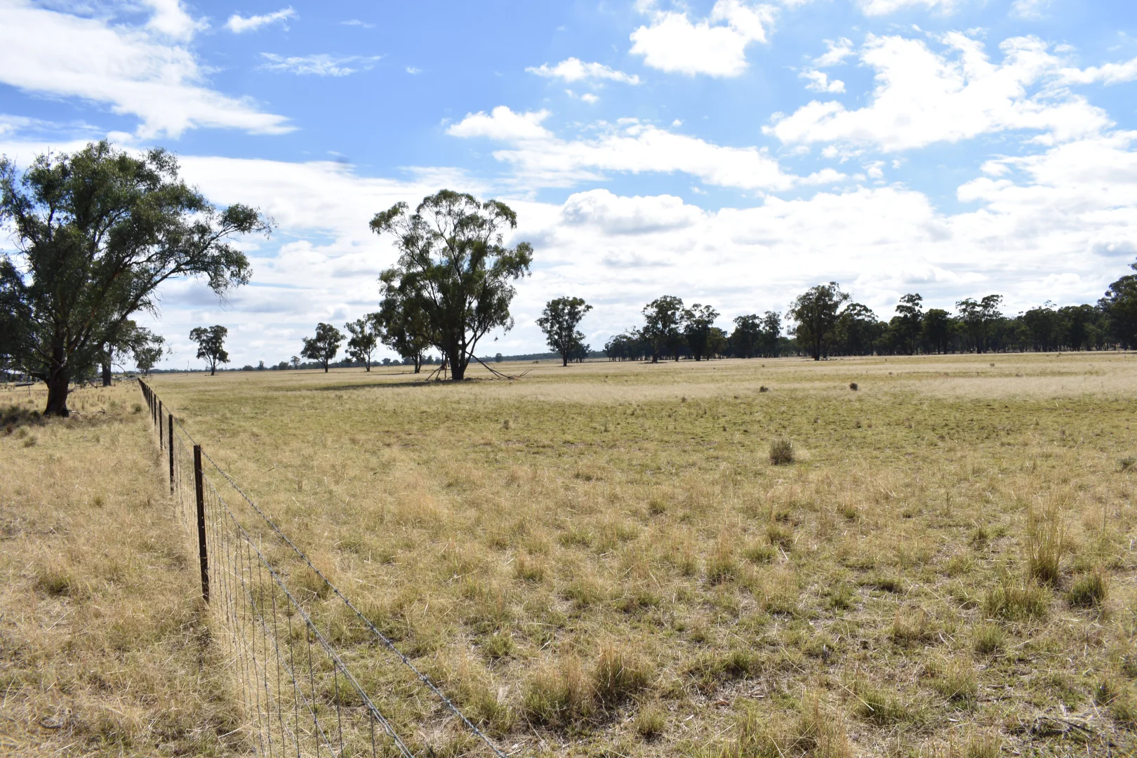 Additional image 35 of 987 Boorr Hill Road, Bruie Plains NSW 2875