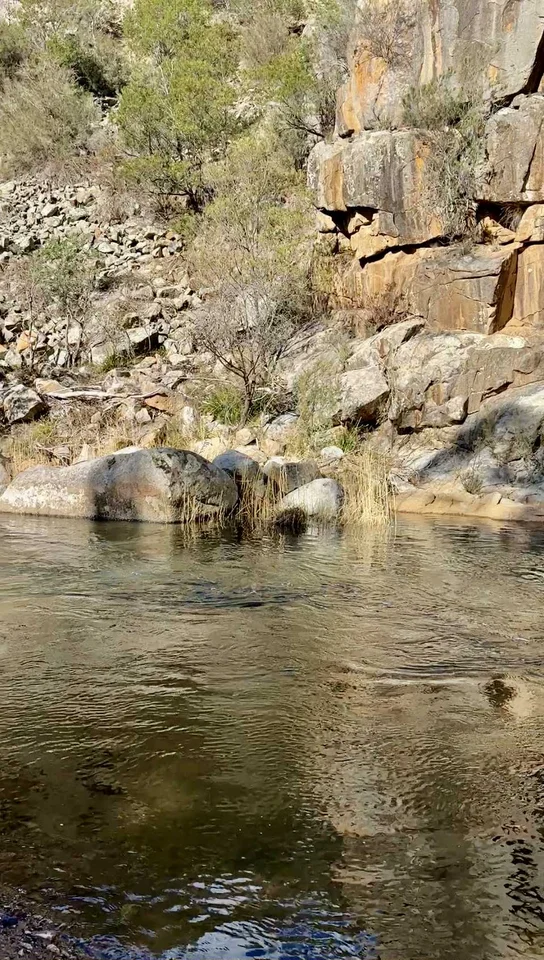 Additional image 9 of 317 Ambyne Road, Deddick Valley VIC 3888