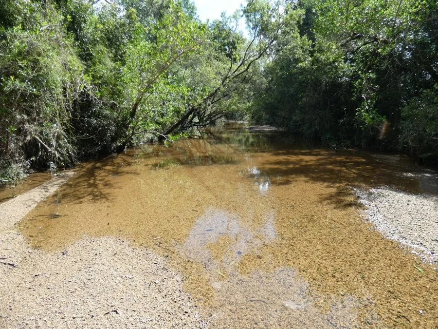 Additional image 32 of 397 Mollenhagens Road, Rosedale QLD 4674