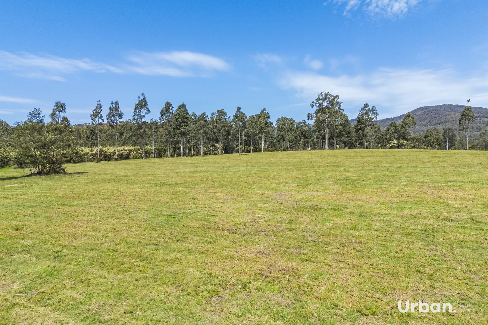 Additional image 4 of 23 Mimosa Lane, Ellalong NSW 2325