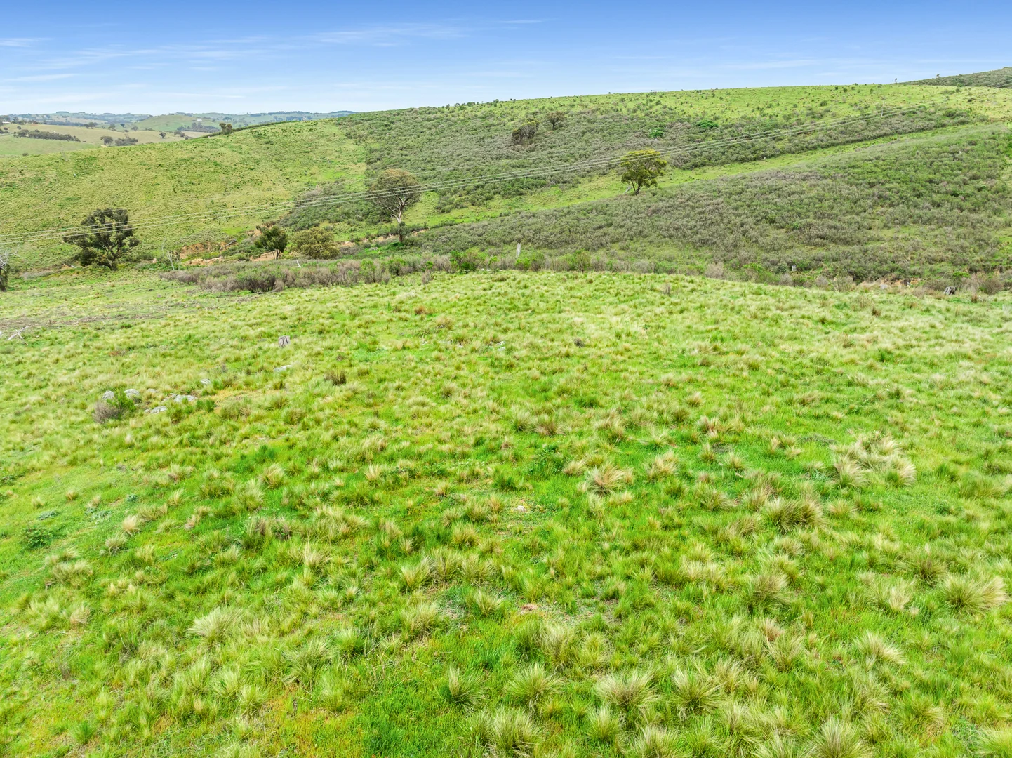 Additional image 19 of 517 White Rocks Road, Lewis Ponds NSW 2800