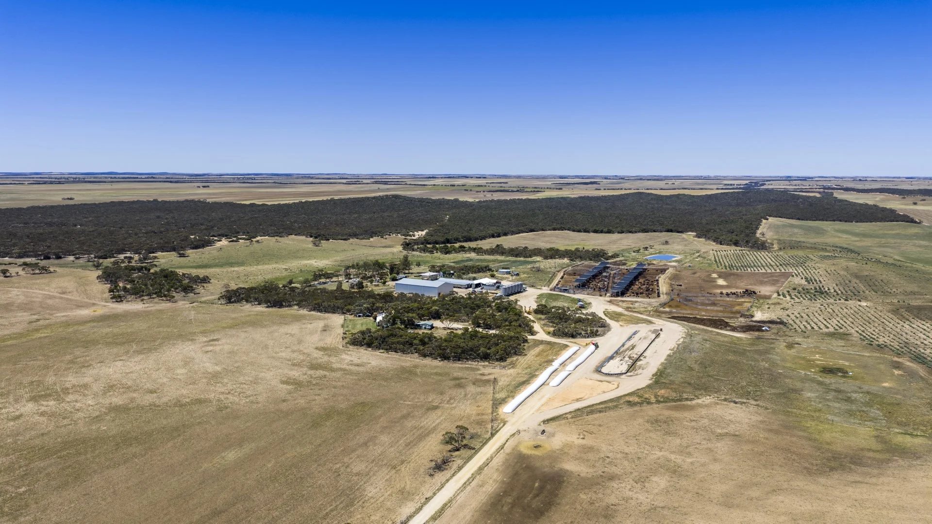 Additional image 28 of 1156 Parrakie North Road, Lameroo SA 5302