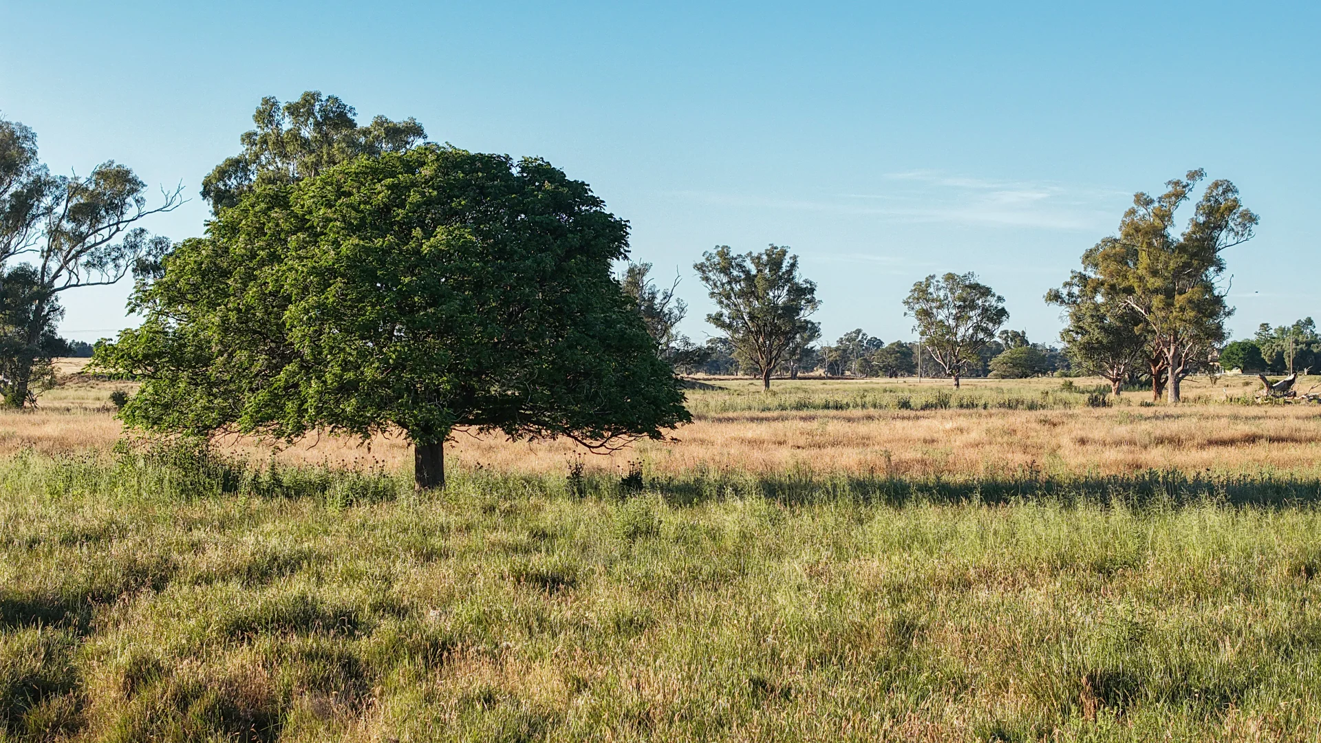 Additional image 14 of The Ranch 27R Plain Creek Road, Wongarbon NSW 2831