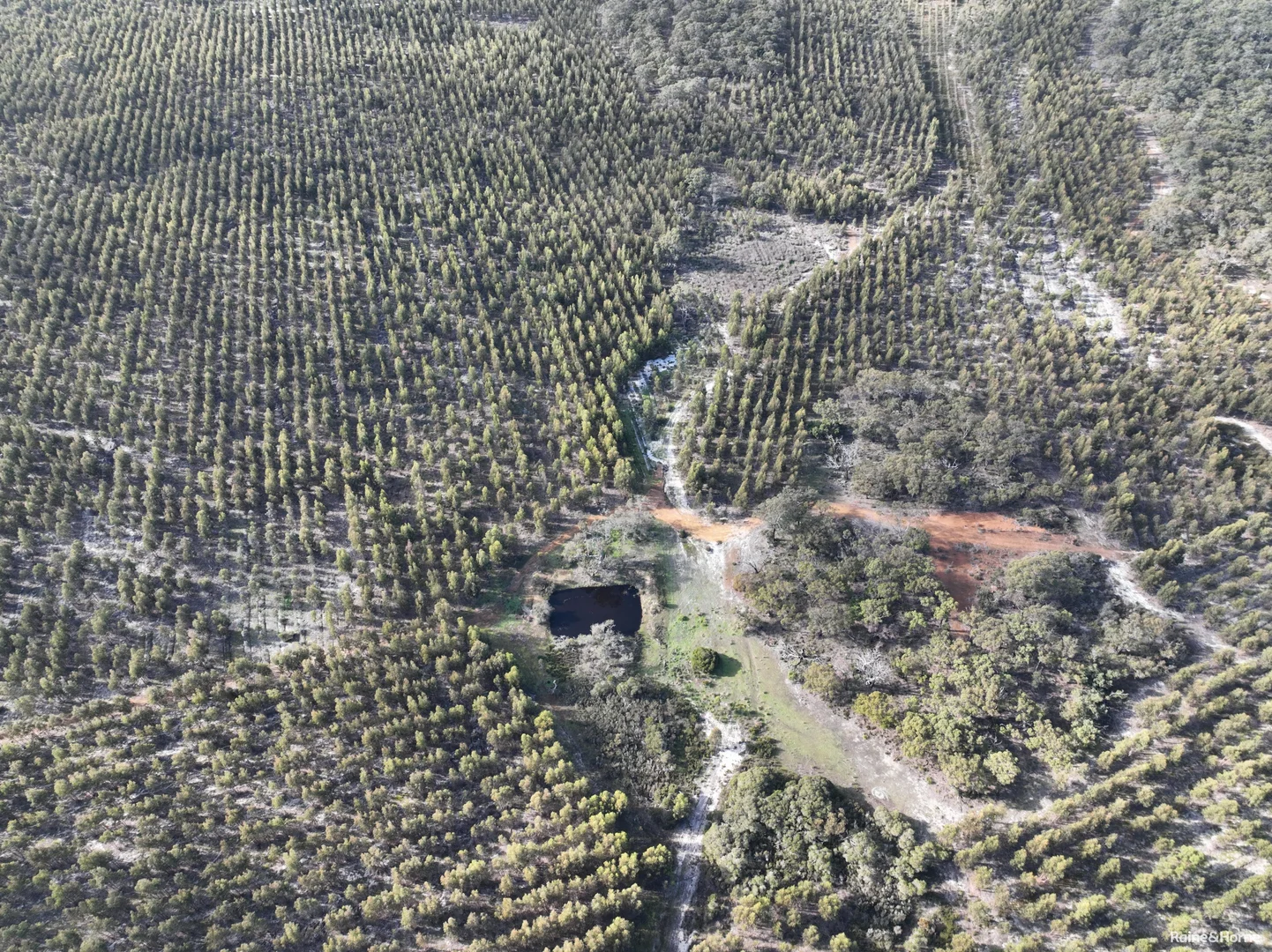 Additional image 6 of Lot 5809 Takenup Road, Napier WA 6330