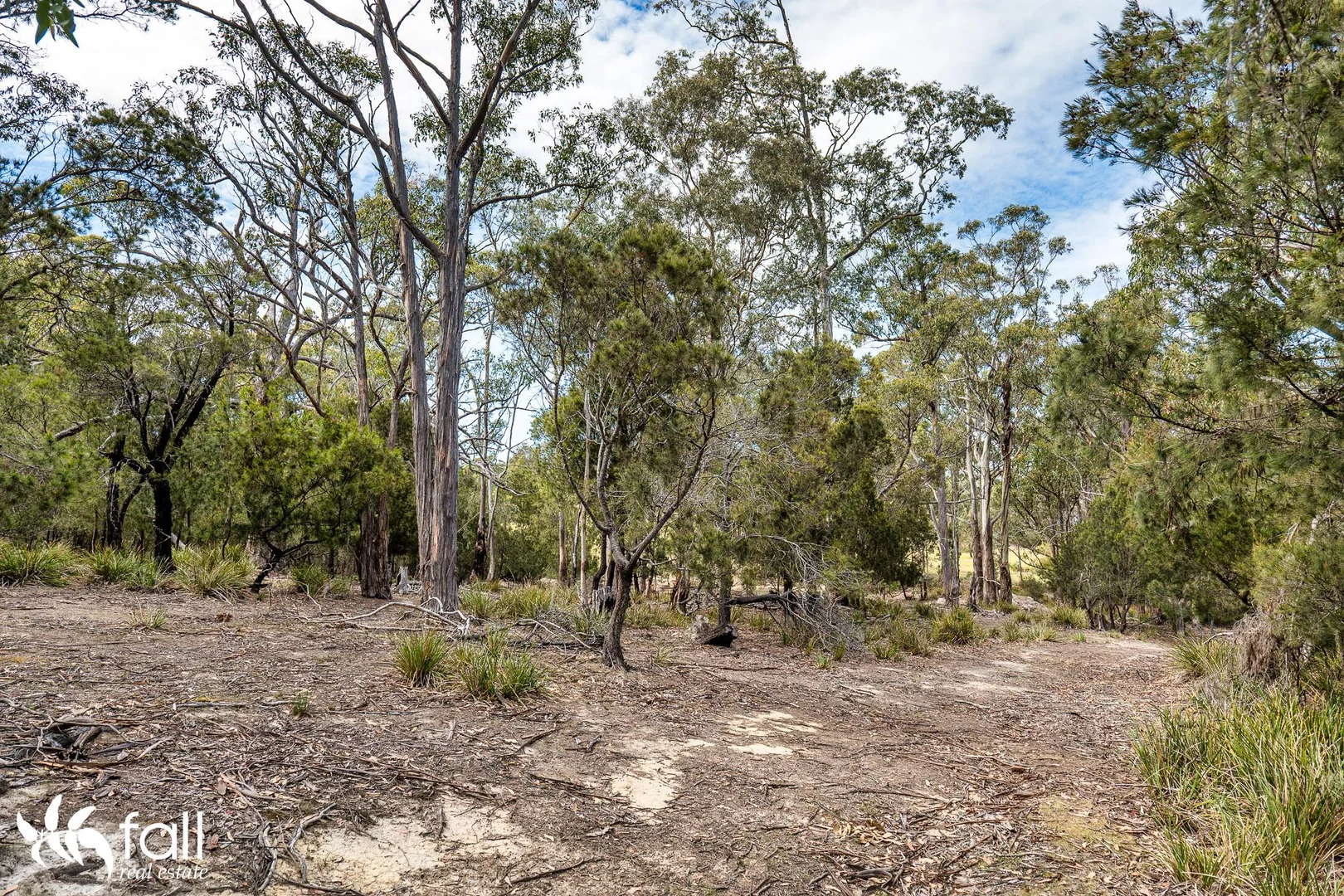 Additional image 15 of 954 Killora Road, North Bruny TAS 7150