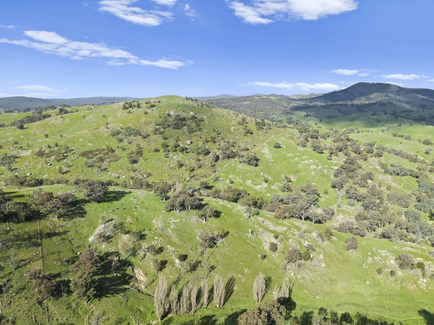 Additional image 11 of Sugarloaf Road, Sheans Creek VIC 3666