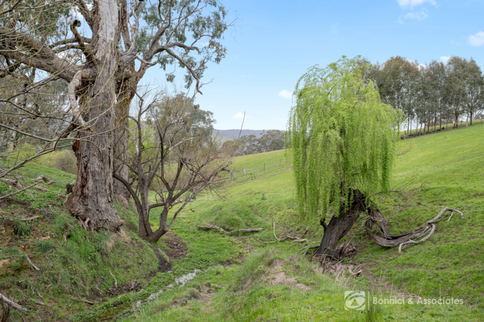 Additional image 14 of BARTLETTS Springdale Road, Bethanga VIC 3691