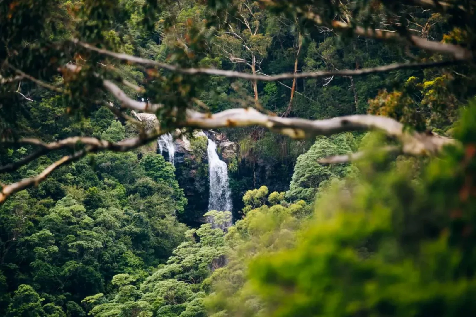 Additional image 35 of 660 Trees Road, Tallebudgera Valley QLD 4228