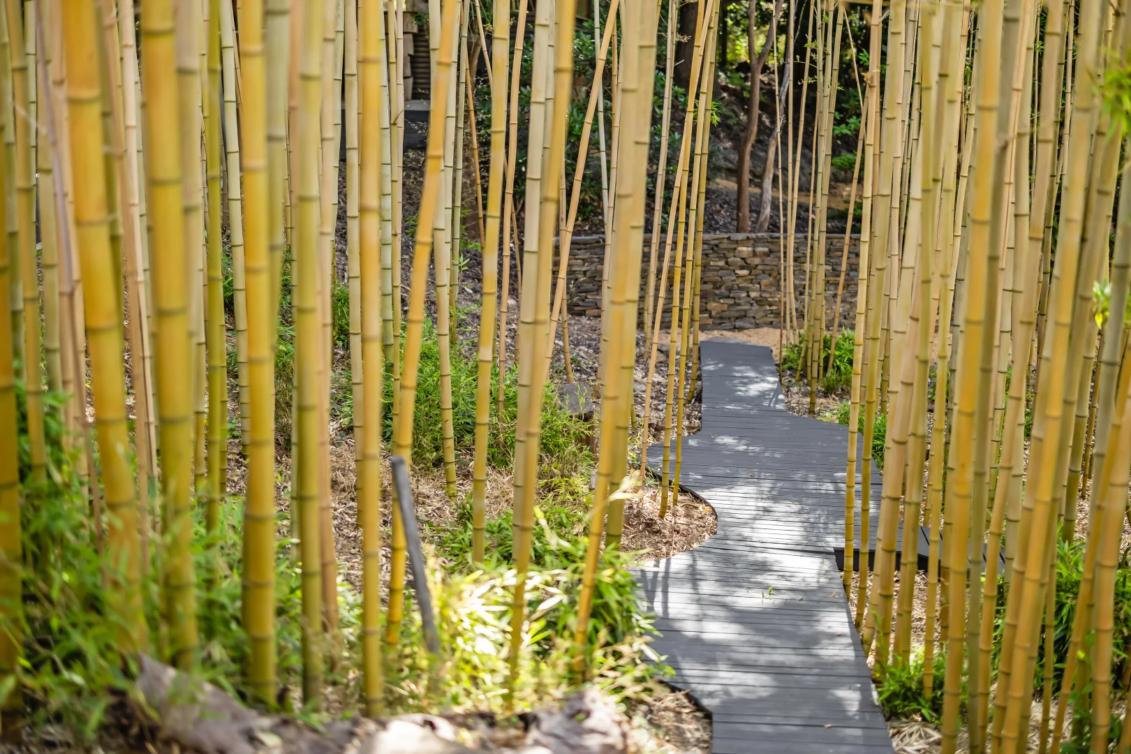 Additional image 32 of 15 Longwood Road, Stirling SA 5152