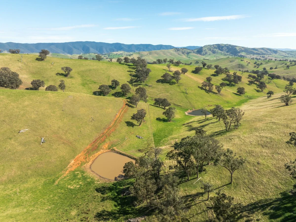 Additional image 48 of 198 Watts Creek Road, Ensay VIC 3895