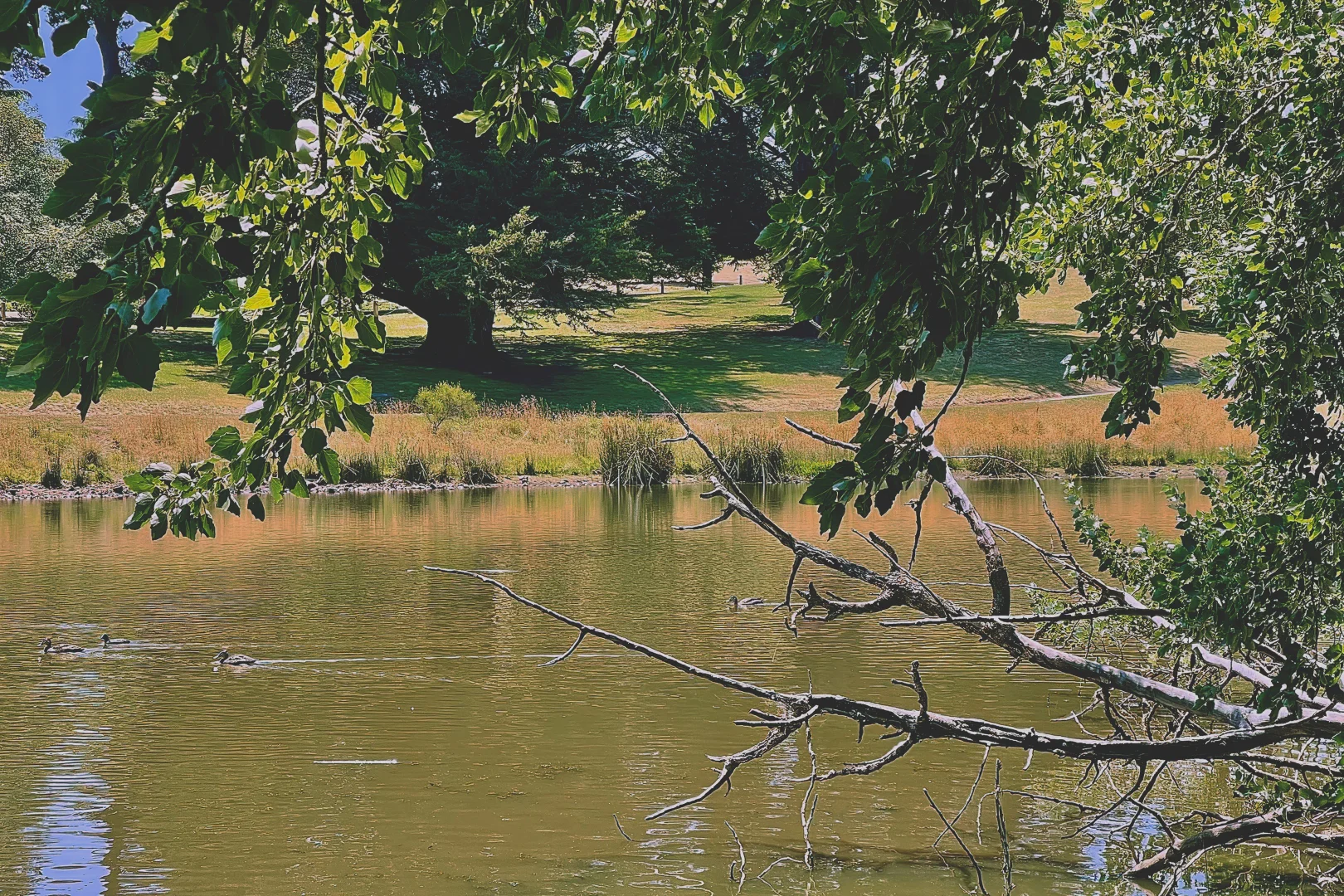 Additional image 18 of 1001 Warrenheip Street, Buninyong VIC 3357