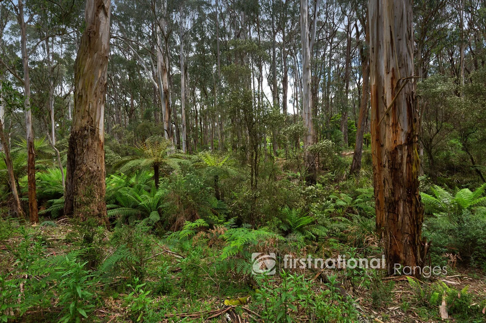 Additional image 16 of 171 Stewart Road, Emerald VIC 3782