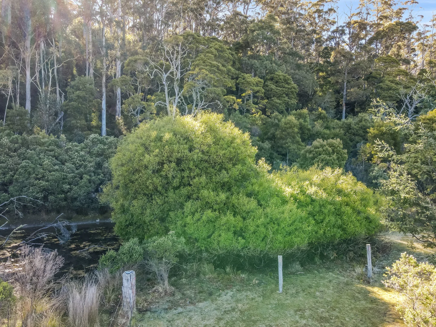 Additional image 5 of Curtis Rd, St Marys TAS 7215