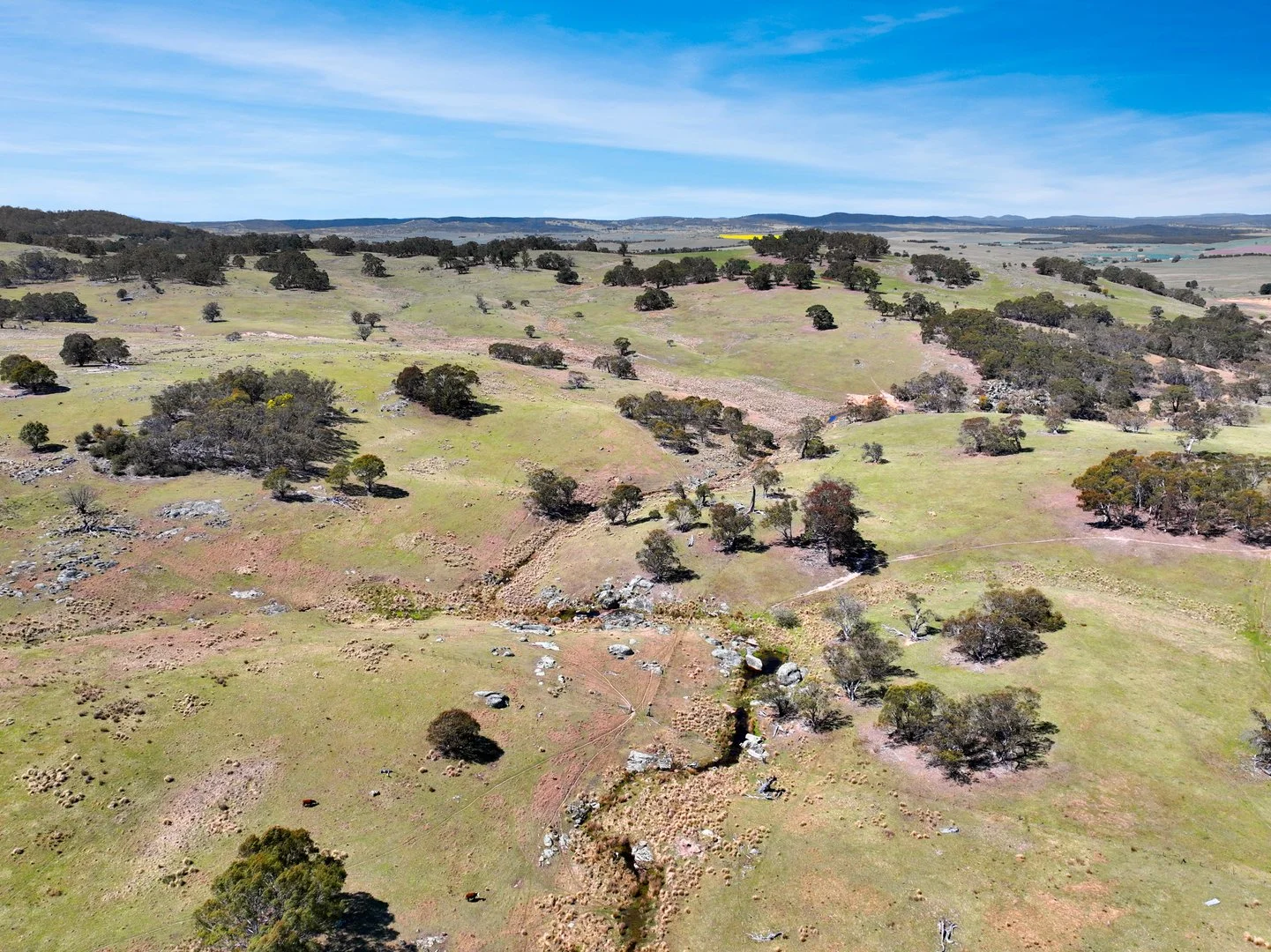 Additional image 19 of "Glenroy" Corrowong Road, Delegate NSW 2633