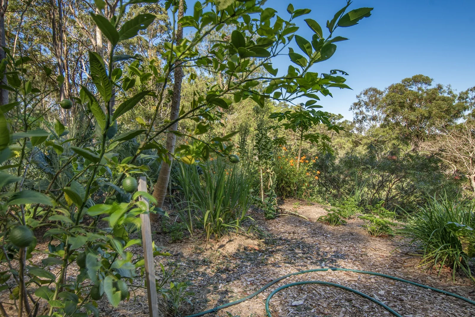 Additional image 22 of 293 Stewart Road, Coondoo QLD 4570