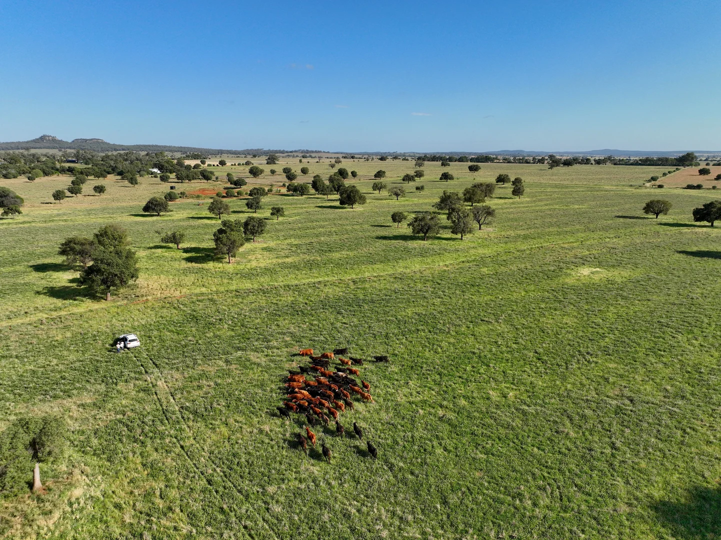 Additional image 31 of 1676 Willala Road, Boggabri NSW 2382