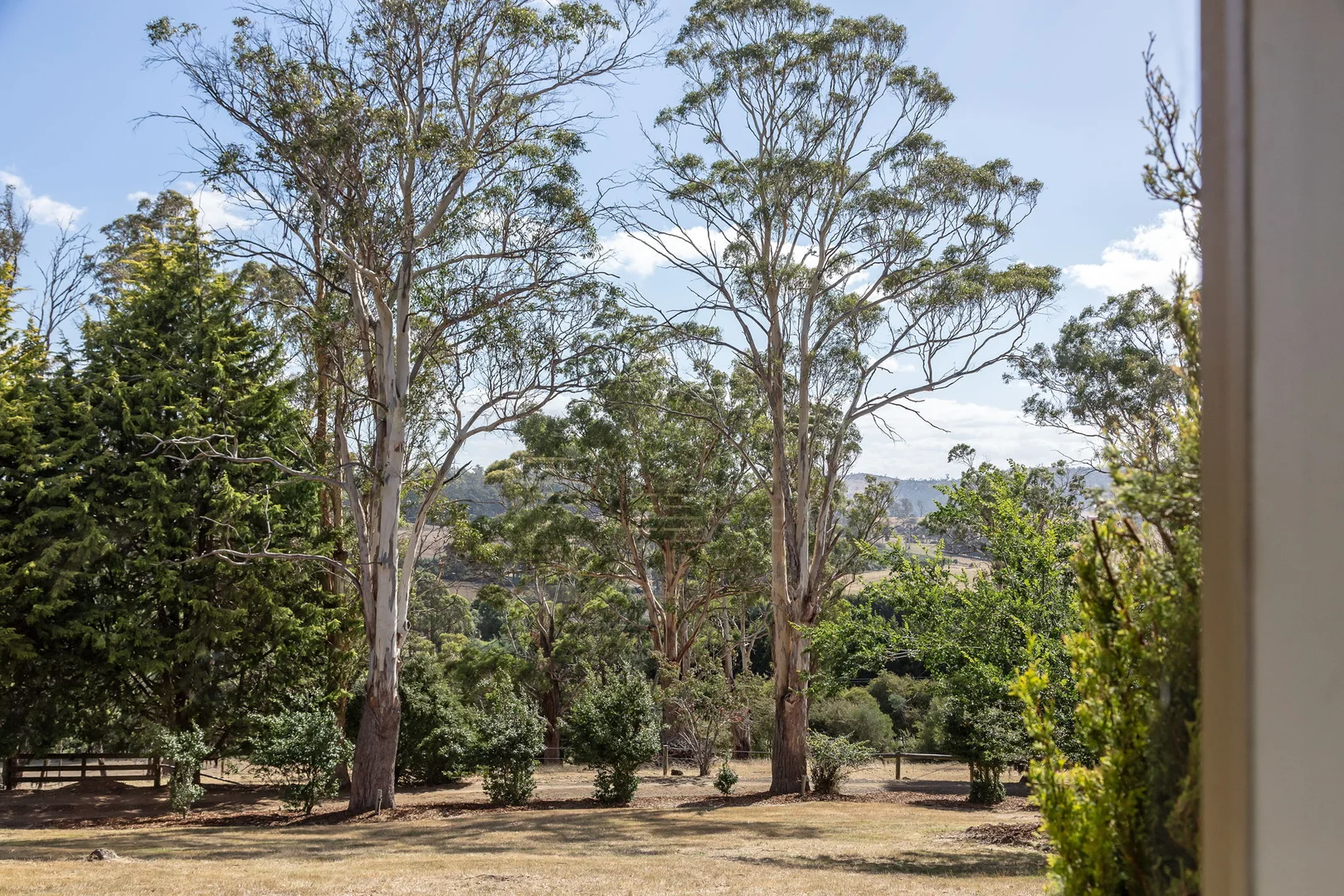 Additional image 14 of 101 Pateena Road, Travellers Rest TAS 7250