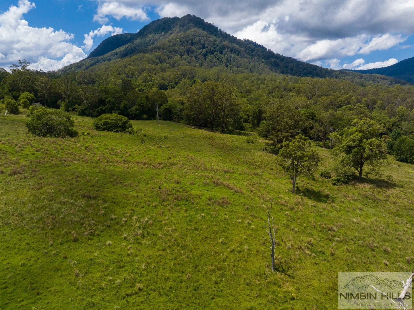 Additional image 21 of 19 Moffitt Road, Nimbin NSW 2480