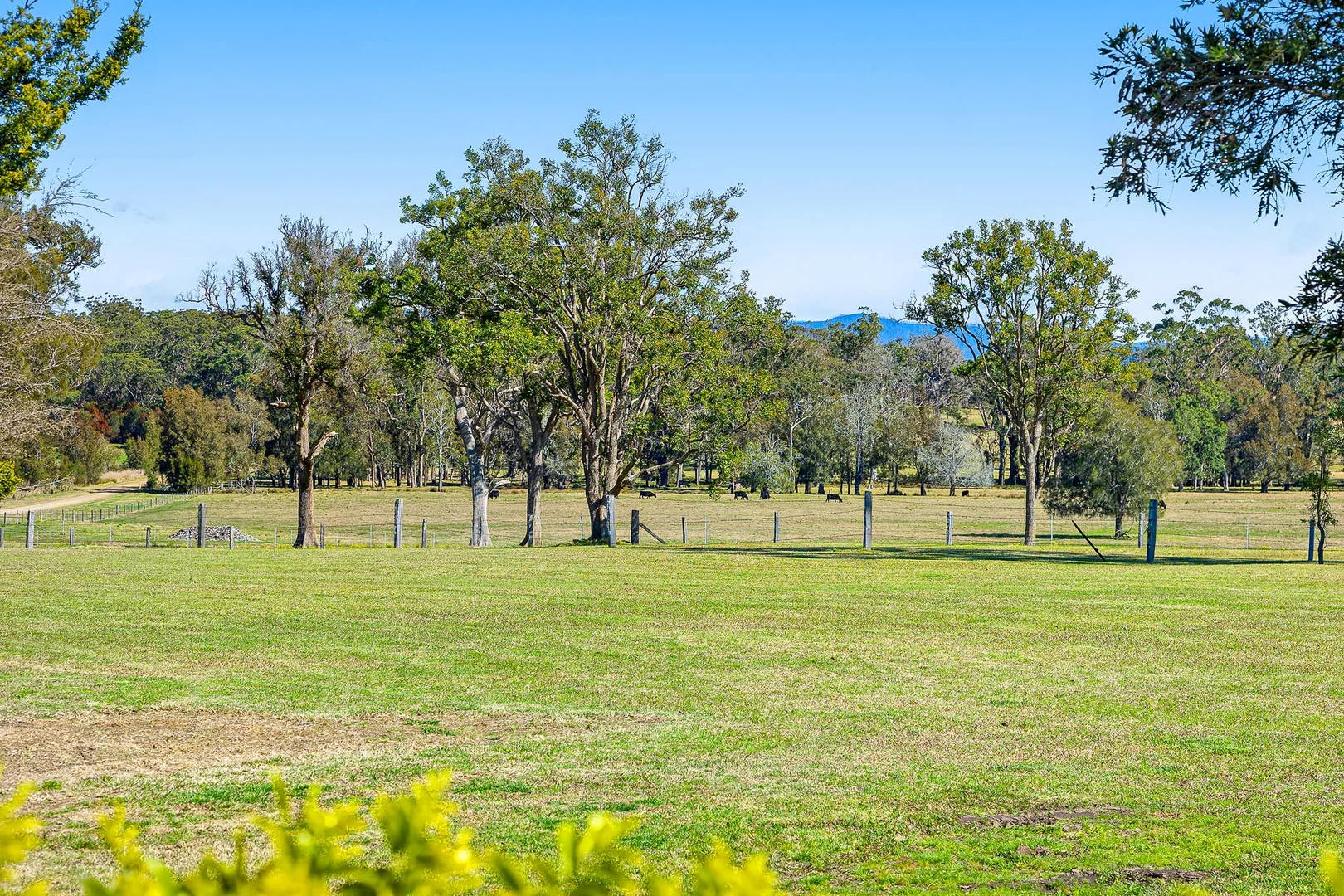 Additional image 3 of 138 Noggarula Drive, Congo NSW 2537