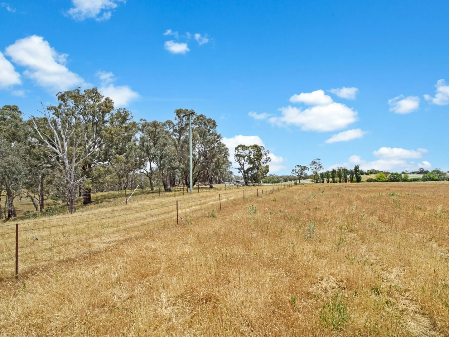 Additional image 41 of 20 Quamby SS Road, Young NSW 2594