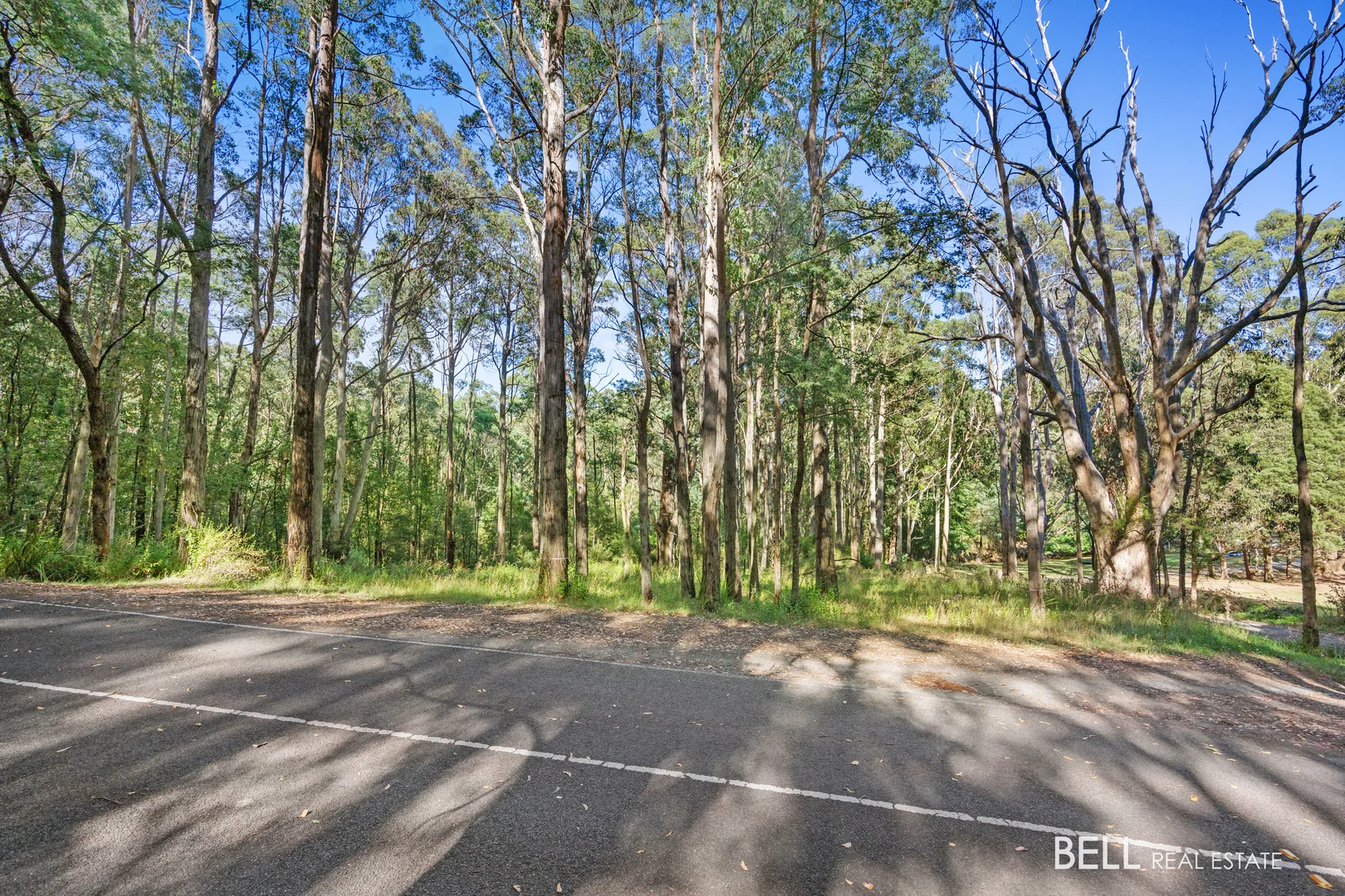 Additional image 4 of 400 Old Warburton Road, Warburton VIC 3799