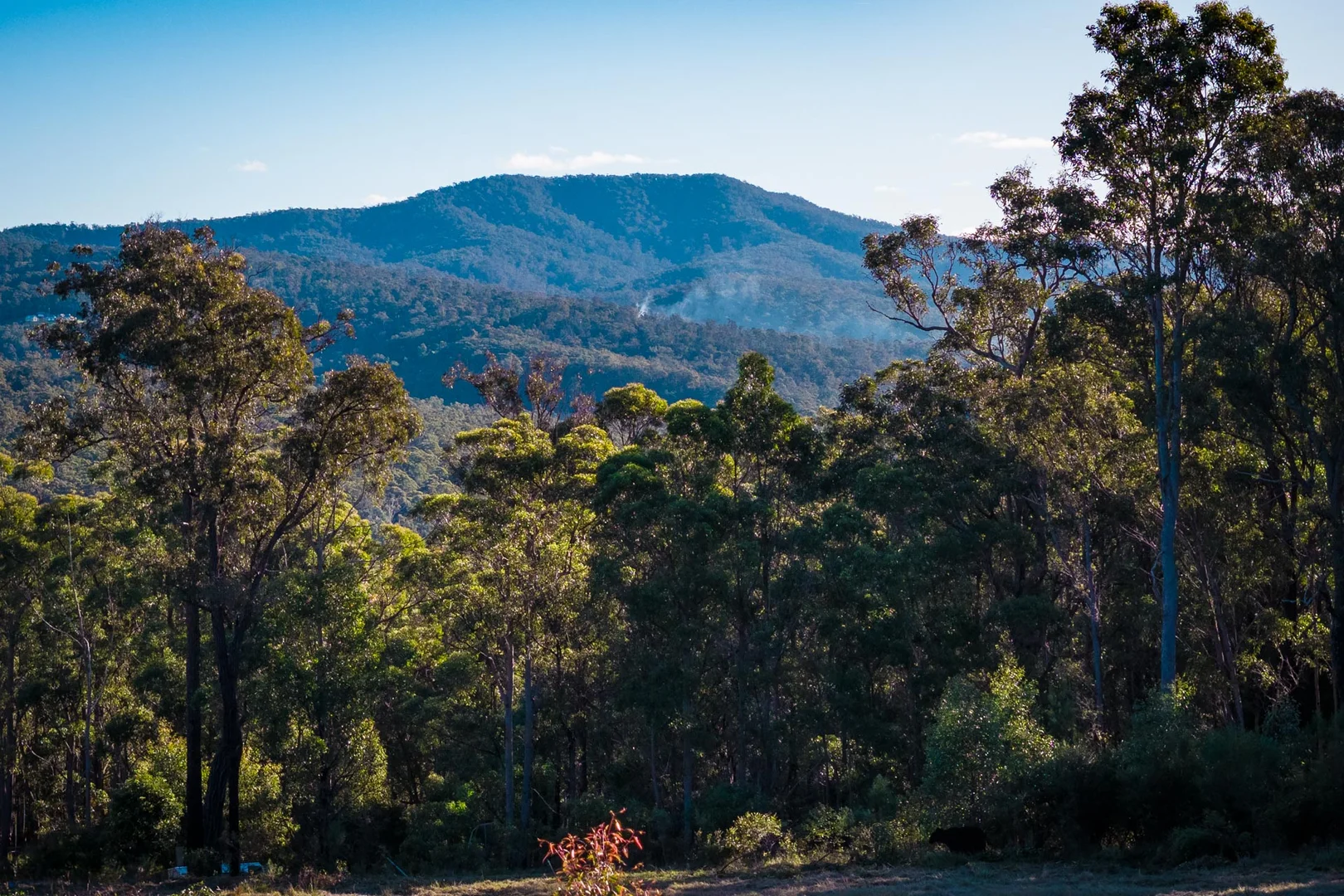 Additional image 7 of 16 Millingandi Short Cut Road, Millingandi NSW 2549