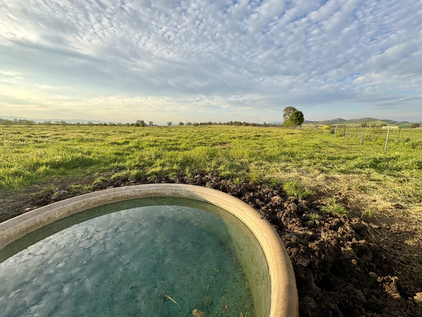 Additional image 32 of "Runnymeade" 80 Blairmore Lane, Aberdeen NSW 2336