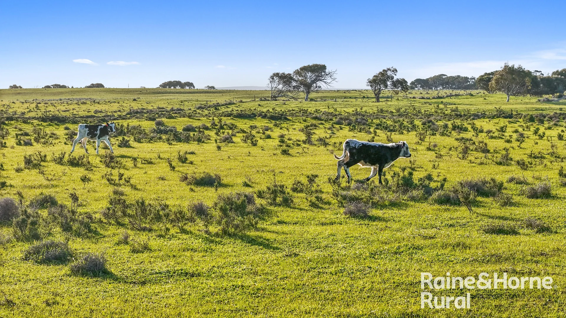 Additional image 22 of Lot 3 Flagstaff Road, Wellington SA 5259